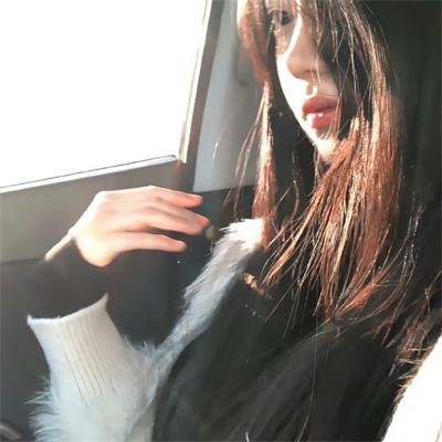 永不言败 在线观看